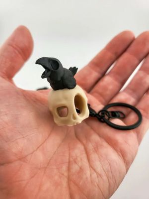 Preview do modelo 3D skully crow